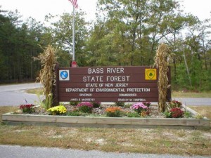 bass river state forest