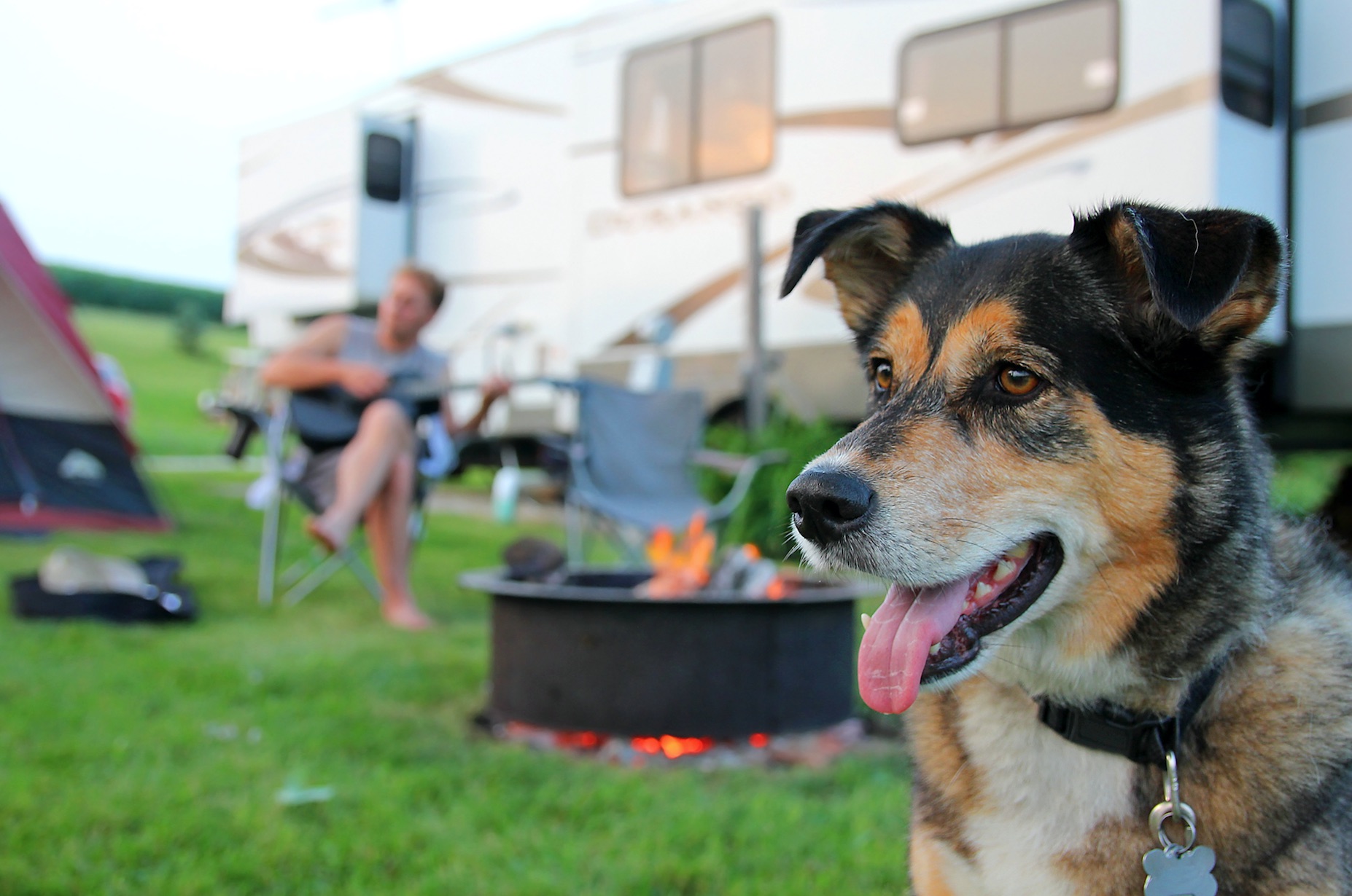 Dog and a Camper
